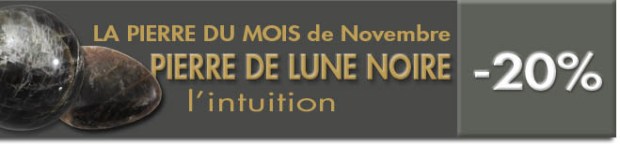 PIERRE DU MOIS DE NOVEMBRE : LA PIERRE DE LUNE NOIRE