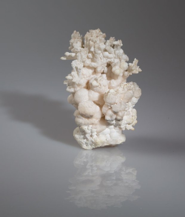 ARAGONITE CORALLOÏDE, PHOTO SERGE BRIEZ ®CAPMÉDIATIONS 2014