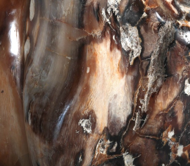 détail Bois fossilisés,, photo Serge Briez®