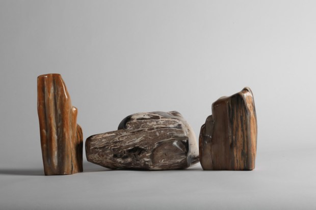 Bois fossilisés, formes libre, photo Serge Briez®