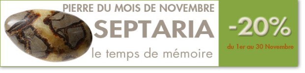 SEPTARIA : pierre du mois de Novembre 2014