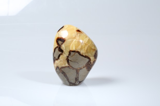 SEPTARIA, pierre du mois de Novembre 2014, photo Serge Briez®capmediations2014