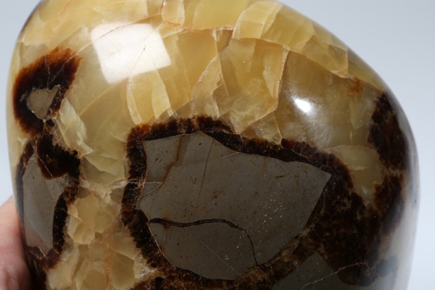 SEPTARIA, pierre du mois de Novembre 2014, photo Serge Briez®capmediations2014