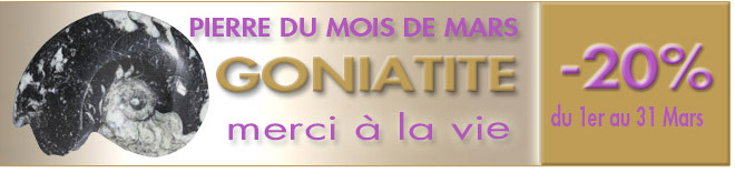 LA GONIATITE, pierre du mois de Mars 2015, www.cristaux-sante.com