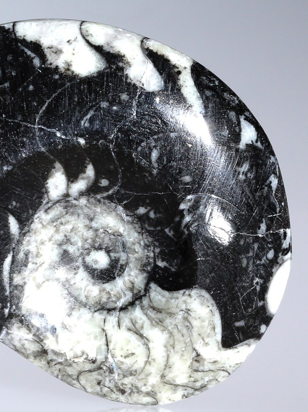 LA GONIATITE, pierre du mois de Mars 2015, photo Serge BRIEZ ®capmediations