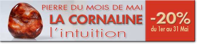 PIERRE DU MOIS DE MAI 2015 : LA CORNALINE