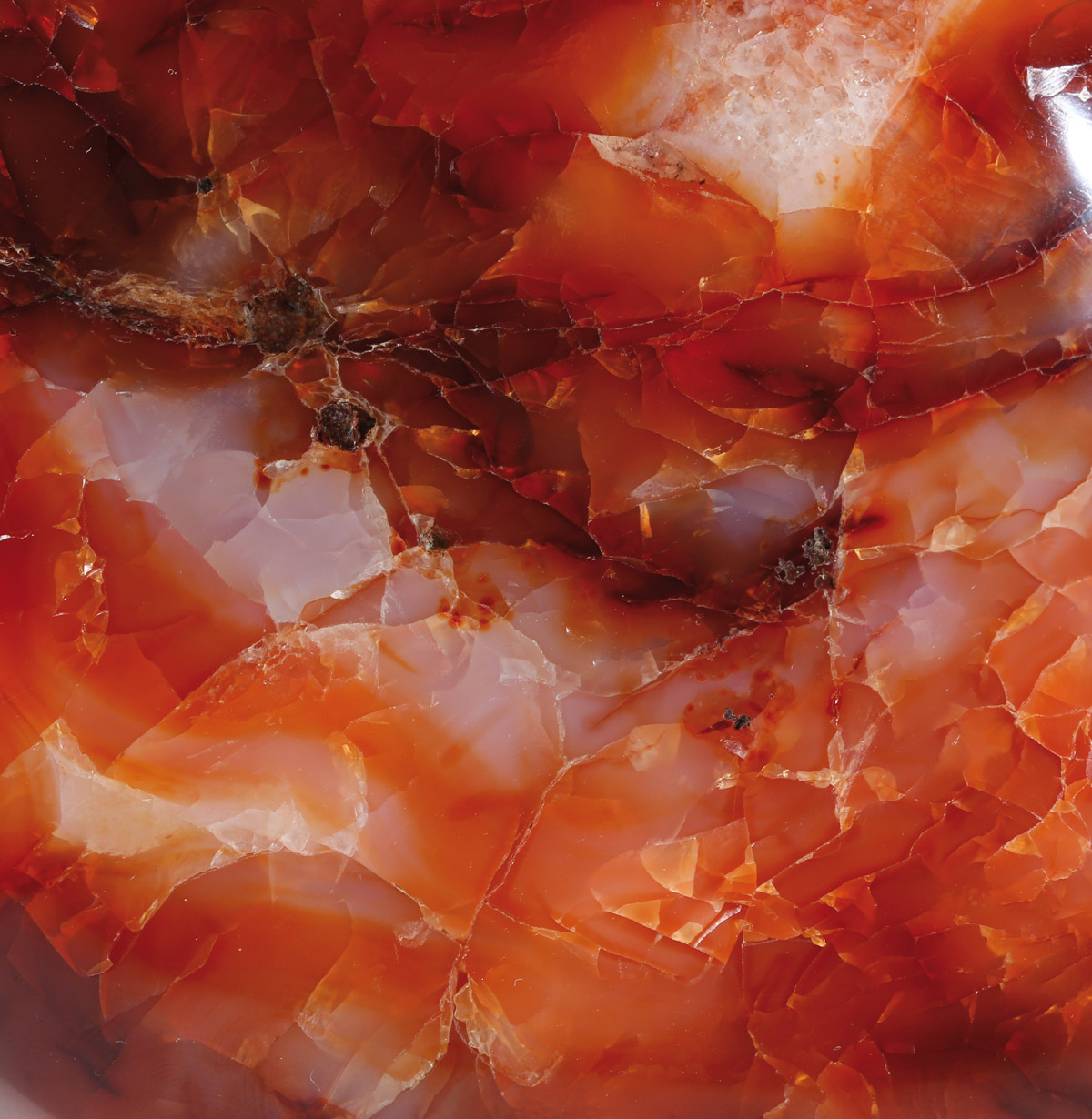 PIERRE DU MOIS DE MAI 2015 : LA CORNALINE, photo Serge BRIEZ©capmediations2015