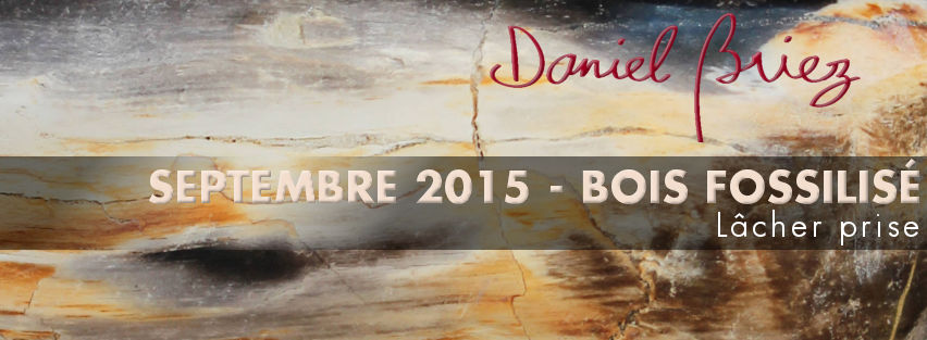 LA PIERRE DU MOIS DE SEPTEMBRE 2015 - LE BOIS FOSSILISÉ