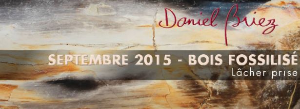 LA PIERRE DU MOIS DE SEPTEMBRE 2015 - LE BOIS FOSSILISÉ