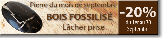 Retrouvez la pierre du mois de septembre : le Bois Fossilisé sur www.cristaux-sante.com