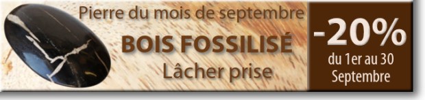 Retrouvez la pierre du mois de septembre : le Bois Fossilisé sur www.cristaux-sante.com