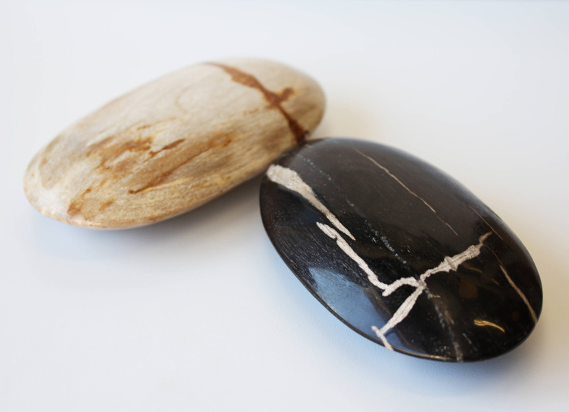 Navettes de BOIS FOSSILISÉ, photo ®Cristaux et Santé, 2015