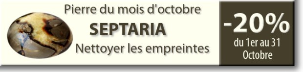 Retrouvez la pierre du mois d'octobre : le Septaria sur www.cristaux-sante.com