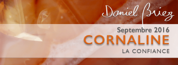 LA PIERRE DU MOIS DE SEPTEMBRE 2016 – LA CORNALINE