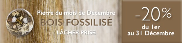 Retrouvez la pierre du mois de Décembre 2016 : le Bois Fossilisé sur www.cristaux-sante.com