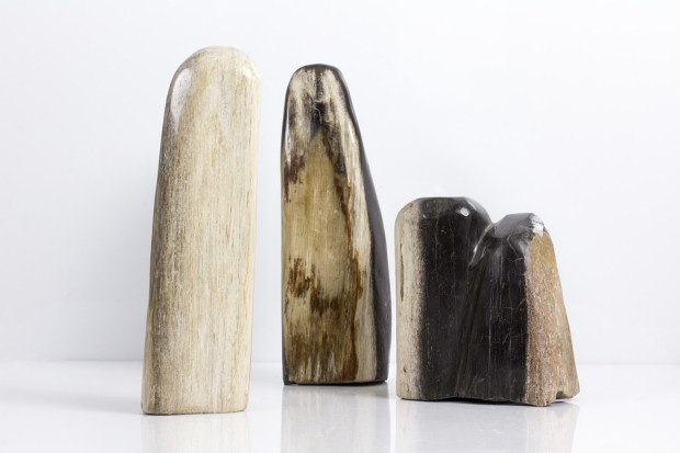 Formes libres de BOIS FOSSILISÉ d'Indonésie, photo ®Cristaux et Santé, 2016