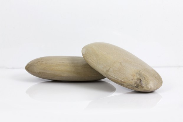 Navettes de BOIS FOSSILISÉ d'Indonésie, photo ®Cristaux et Santé, 2016