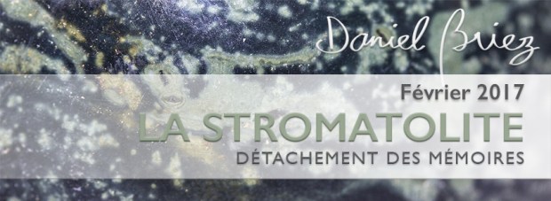 LA PIERRE DU MOIS DE FÉVRIER 2017 – LA STROMATOLITE